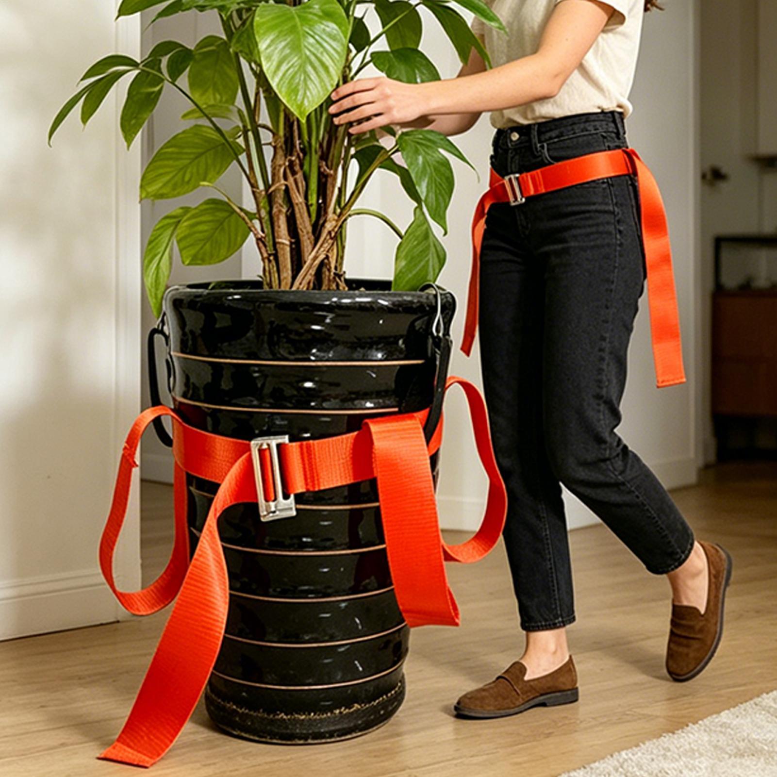 Landschapsarchitectuur Hefriem - Lifting Belt recensie en prijs