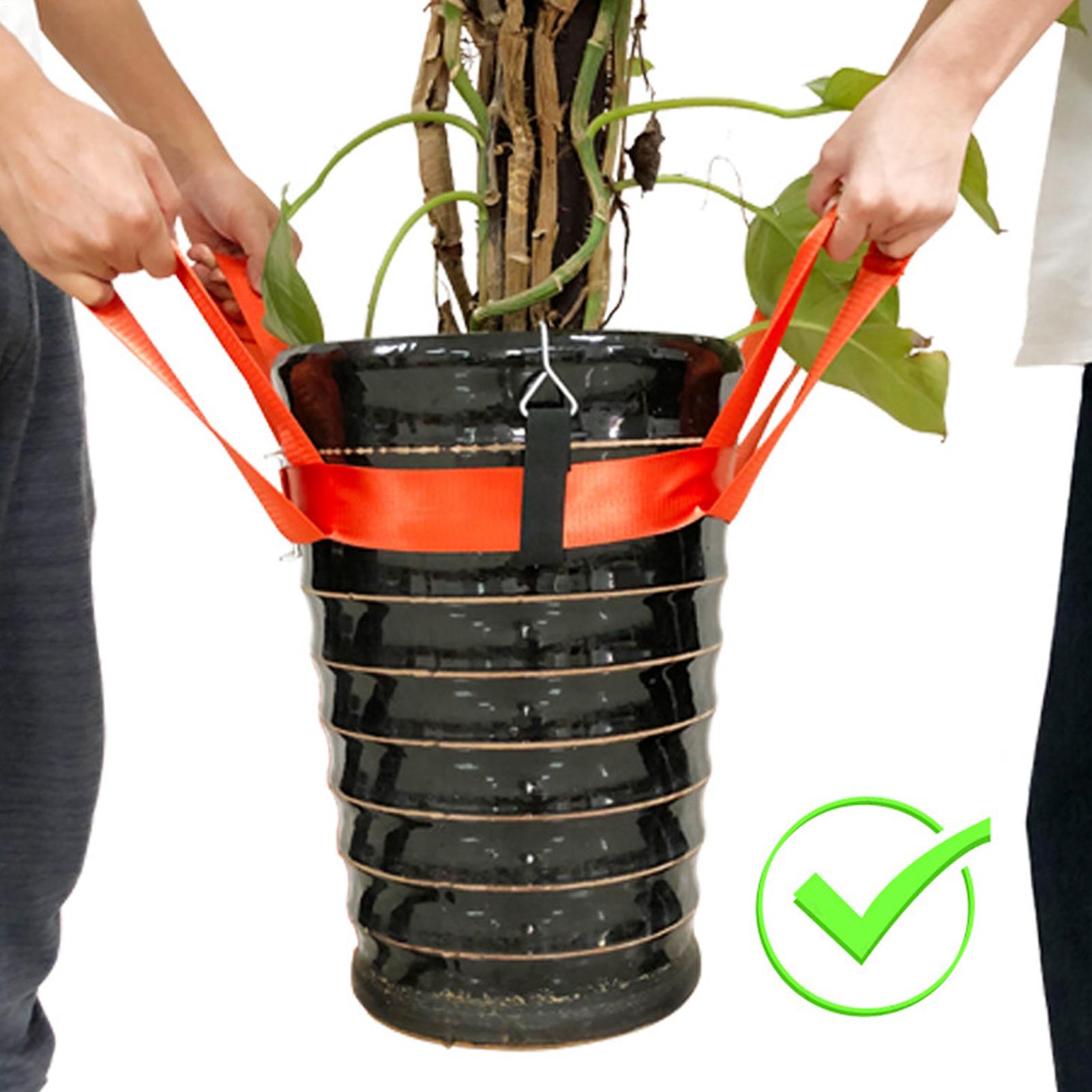 Landschapsarchitectuur Hefriem - Lifting Belt recensie en prijs