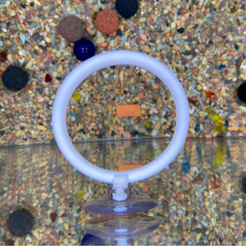 1 stks Plastic Aquarium Aquari - Gymnastic Ring recensie en prijs