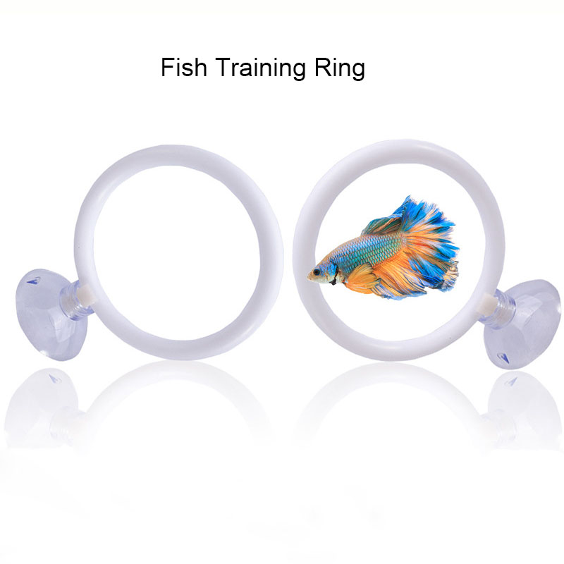 1 stks Plastic Aquarium Aquari - Gymnastic Ring recensie en prijs