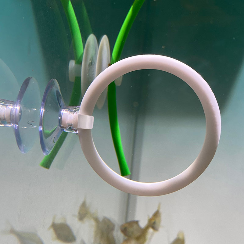 1 stks Plastic Aquarium Aquari - Gymnastic Ring recensie en prijs